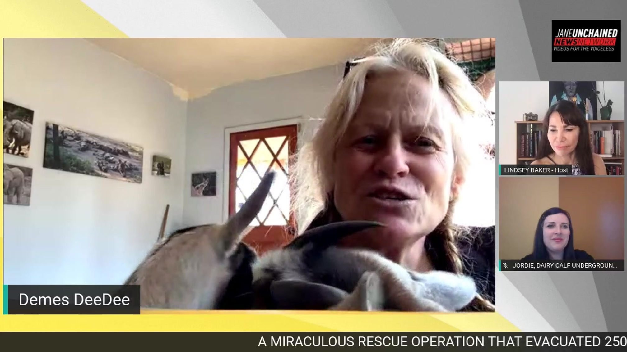 Meet Two Of The Heroes That Organized An Evacuation Operation And Rescued 250 Farm Animals!